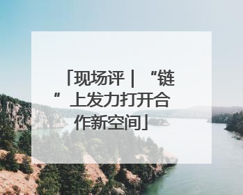 现场评｜“链”上发力打开合作新空间