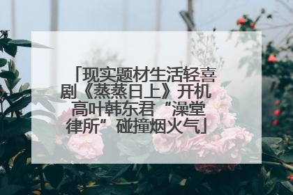 现实题材生活轻喜剧《蒸蒸日上》开机 高叶韩东君“澡堂律所”碰撞烟火气