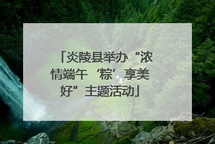 炎陵县举办“浓情端午‘粽’享美好”主题活动