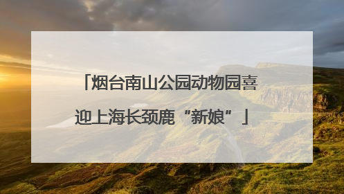 烟台南山公园动物园喜迎上海长颈鹿“新娘”