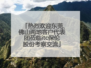 热烈欢迎东莞、佛山两地客户代表团莅临itc保伦股份考察交流