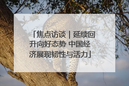 焦点访谈｜延续回升向好态势 中国经济展现韧性与活力