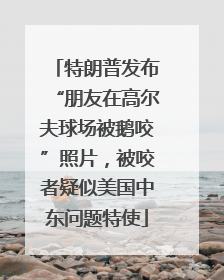 特朗普发布“朋友在高尔夫球场被鹅咬”照片，被咬者疑似美国中东问题特使