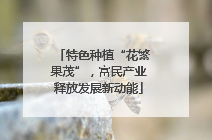 特色种植“花繁果茂”，富民产业释放发展新动能