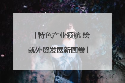 特色产业领航 绘就外贸发展新画卷