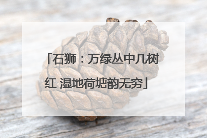 石狮：万绿丛中几树红 湿地荷塘韵无穷
