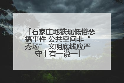 石家庄地铁现低俗恶搞事件 公共空间非“秀场” 文明底线应严守丨有一说一