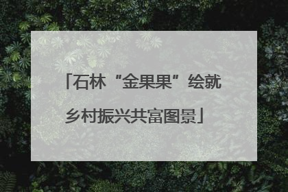 石林“金果果”绘就乡村振兴共富图景