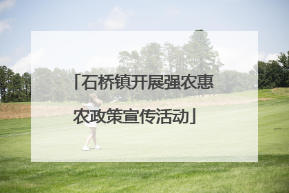 石桥镇开展强农惠农政策宣传活动