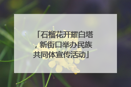 石榴花开耀白塔，新街口举办民族共同体宣传活动