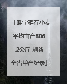 睢宁稻茬小麦平均亩产806.2公斤 刷新全省单产纪录
