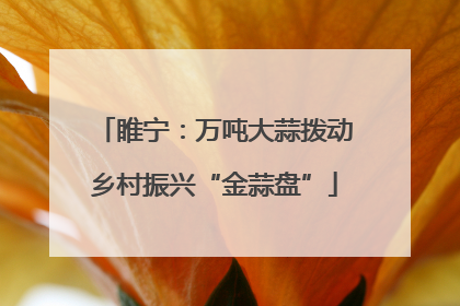 睢宁：万吨大蒜拨动乡村振兴“金蒜盘”