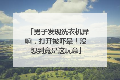 男子发现洗衣机异响，打开被吓晕！没想到竟是这玩意