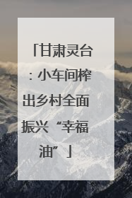 甘肃灵台：小车间榨出乡村全面振兴“幸福油”