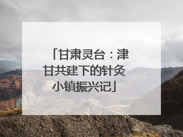 甘肃灵台：津甘共建下的针灸小镇振兴记