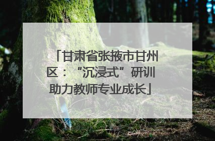 甘肃省张掖市甘州区：“沉浸式”研训助力教师专业成长