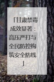 甘肃禁毒成效显著：高压严打与全民防控构筑安全防线