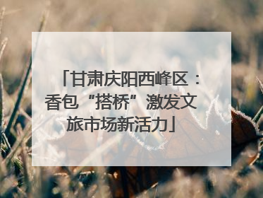 甘肃庆阳西峰区：香包“搭桥”激发文旅市场新活力