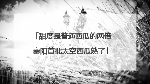 甜度是普通西瓜的两倍 襄阳首批太空西瓜熟了