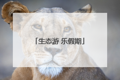 生态游 乐假期