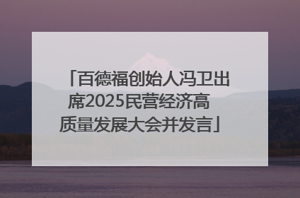 百德福创始人冯卫出席2025民营经济高质量发展大会并发言