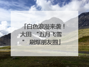 白色浪漫来袭！大田 “五月飞雪” 刷爆朋友圈