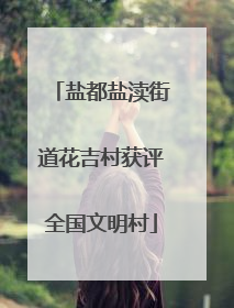 盐都盐渎街道花吉村获评全国文明村