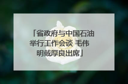 省政府与中国石油举行工作会谈 毛伟明戴厚良出席