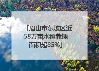 眉山市东坡区近58万亩水稻栽插面积超85%