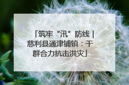 筑牢“汛”防线｜慈利县通津铺镇：干群合力抗击洪灾