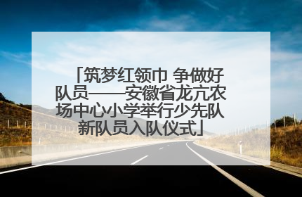 筑梦红领巾 争做好队员——安徽省龙亢农场中心小学举行少先队新队员入队仪式