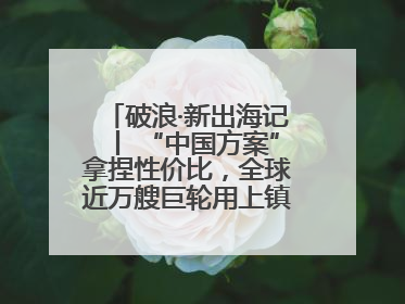 破浪·新出海记丨 “中国方案”拿捏性价比，全球近万艘巨轮用上镇江“节能桨”