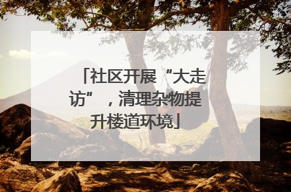 社区开展“大走访”，清理杂物提升楼道环境