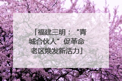 福建三明：“青城合伙人”促革命老区焕发新活力