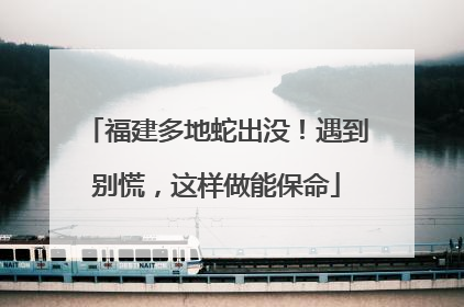 福建多地蛇出没！遇到别慌，这样做能保命
