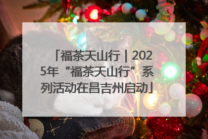 福茶天山行｜2025年“福茶天山行”系列活动在昌吉州启动