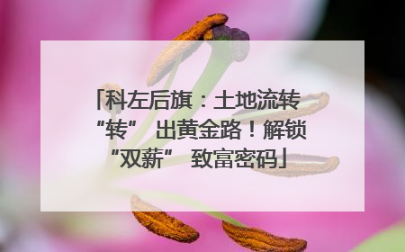 科左后旗：土地流转 “转” 出黄金路！解锁 “双薪” 致富密码