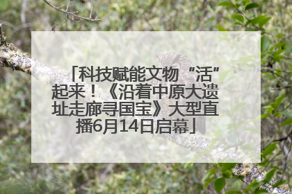 科技赋能文物“活”起来！《沿着中原大遗址走廊寻国宝》大型直播6月14日启幕