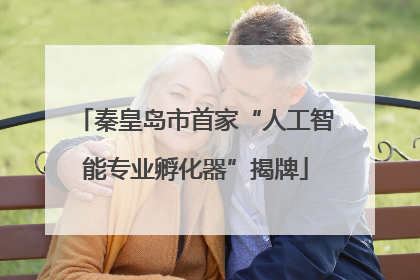 秦皇岛市首家“人工智能专业孵化器”揭牌