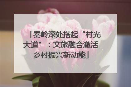 秦岭深处搭起“村光大道”：文旅融合激活乡村振兴新动能