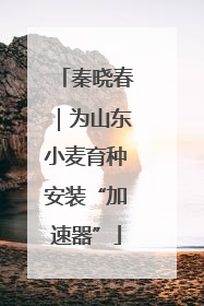 秦晓春｜为山东小麦育种安装“加速器”