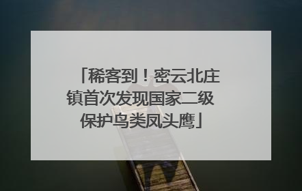 稀客到！密云北庄镇首次发现国家二级保护鸟类凤头鹰