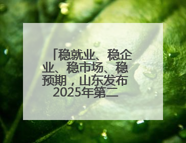 稳就业、稳企业、稳市场、稳预期，山东发布2025年第二批政策清单
