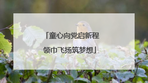 童心向党启新程 领巾飞扬筑梦想