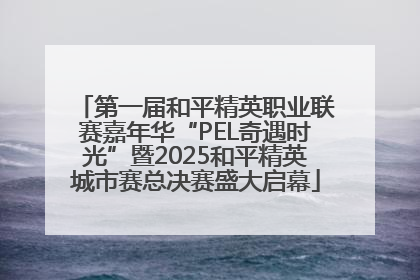 第一届和平精英职业联赛嘉年华“PEL奇遇时光”暨2025和平精英城市赛总决赛盛大启幕