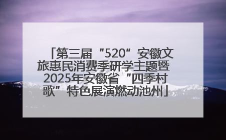 第三届“520”安徽文旅惠民消费季研学主题暨 2025年安徽省“四季村歌”特色展演燃动池州