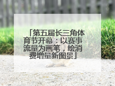 第五届长三角体育节开幕：以赛事流量为画笔，绘消费增量新图景