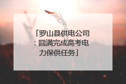 罗山县供电公司：圆满完成高考电力保供任务