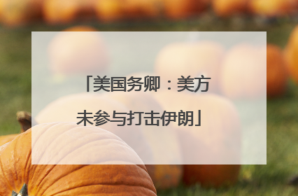 美国务卿：美方未参与打击伊朗