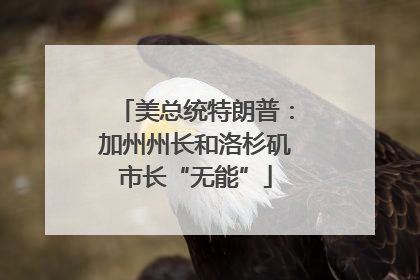 美总统特朗普：加州州长和洛杉矶市长“无能”